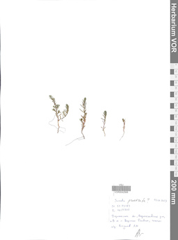 VOR 0042568