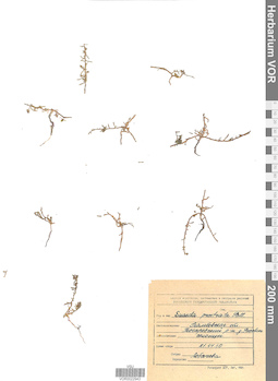 VOR 0022943