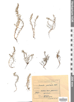 VOR 0022939