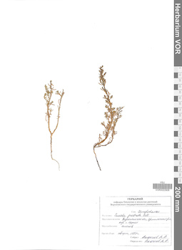 VOR 0022908