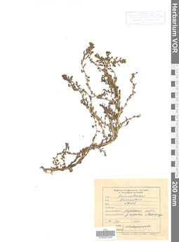 VOR 0023396
