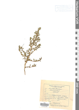 VOR 0023395