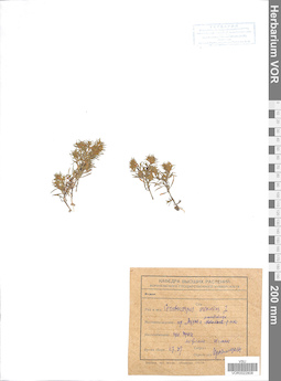 VOR 0022808