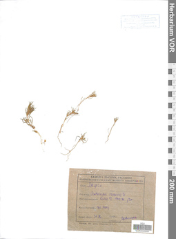 VOR 0022806
