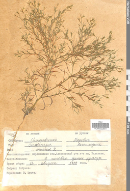 VOR 0022801