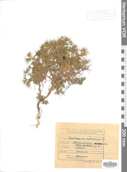 VOR 0022797