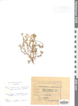 VOR 0022791