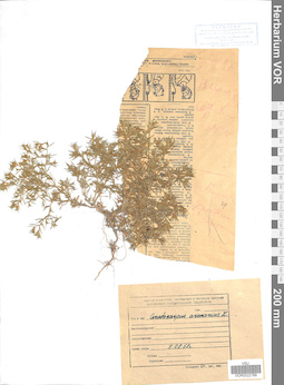 VOR 0022789