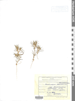 VOR 0022779