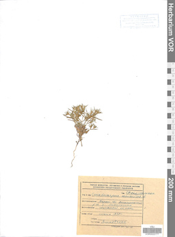 VOR 0022777