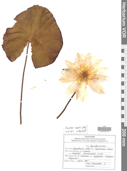 VOR 0042773