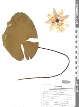 VOR 0042766