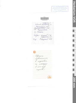 VOR 0042761