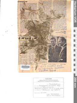 VOR 0042821
