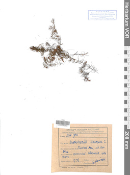 VOR 0042868