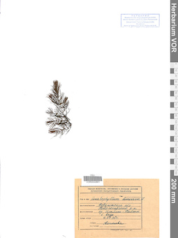 VOR 0042861