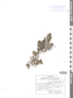 VOR 0042845