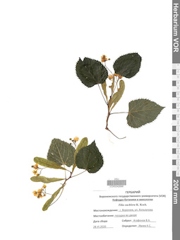 VOR 0042688