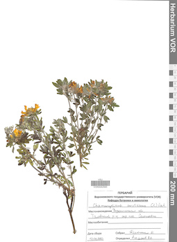 VOR 0042565