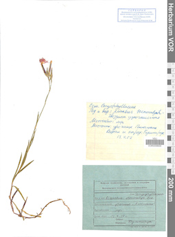 VOR 0008830