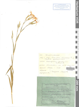 VOR 0008827