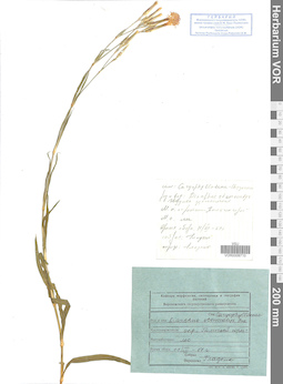 VOR 0008710