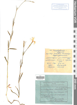 VOR 0008700