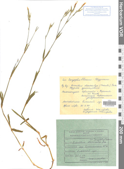 VOR 0008698