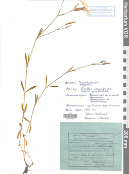 VOR 0008697