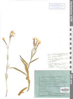 VOR 0008694