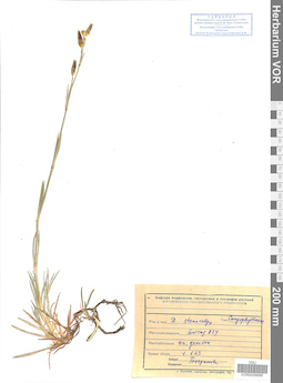 VOR 0008689
