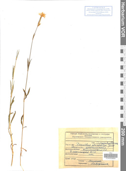 VOR 0008684