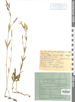 VOR 0008660