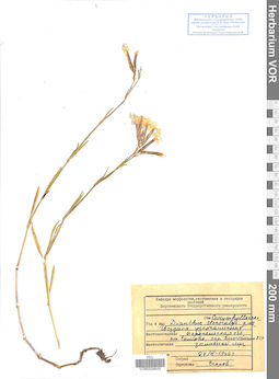 VOR 0008649
