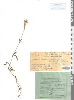 VOR 0008644