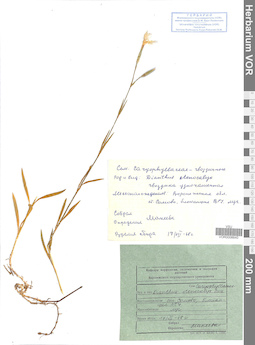 VOR 0008640