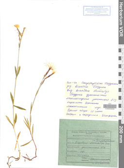 VOR 0008636