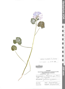 VOR 0042153