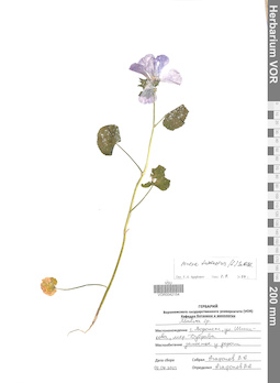VOR 0042154