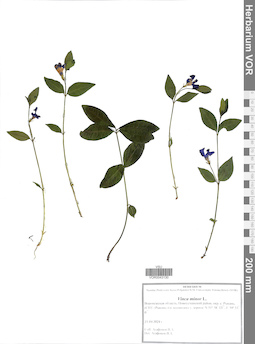 VOR 0043130