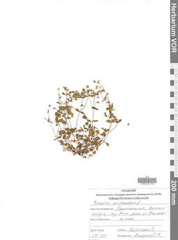 VOR 0043139