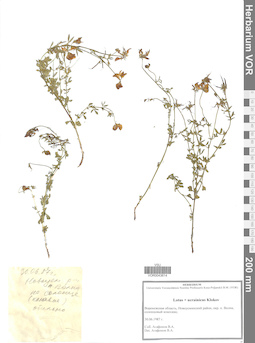 VOR 0043614