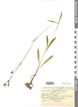 VOR 0043637