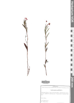 VOR 0043647