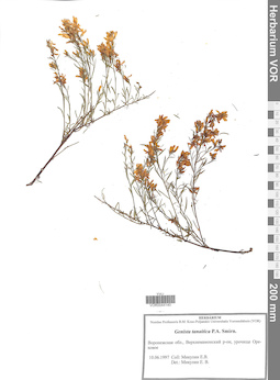 VOR 0044140
