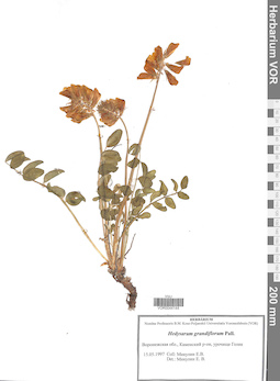 VOR 0044144