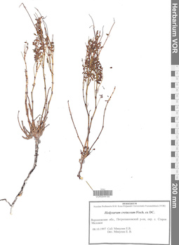 VOR 0044150