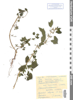 VOR 0023055