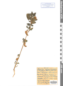 VOR 0023053