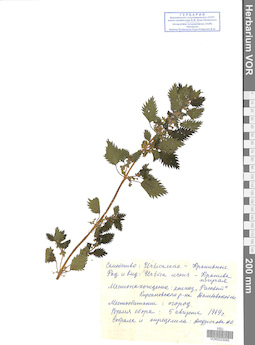 VOR 0023045